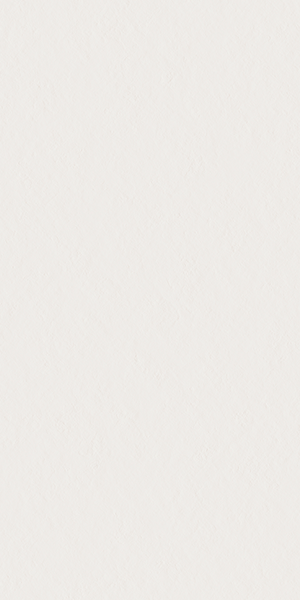 Гранит керамический 4101023 SCW Flamed 60х120 см