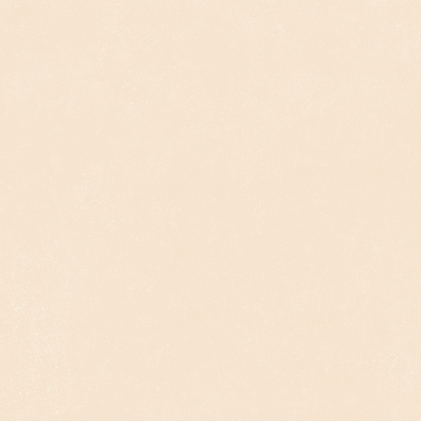 Гранит керамический 4101180 NOK Ivory 120x120 см