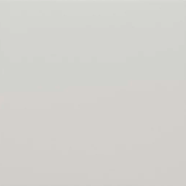 Гранит керамический 30715 RIVOLI White 20x20 см