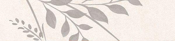 Гранит керамический N100049 LEVELS Blanc Decor 1 Matt 6x25 см