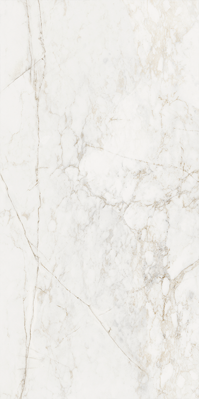 Гранит керамический MEDLEY 137819 OPTIC PRINCE NAT. RETT 60x120х0,9 см