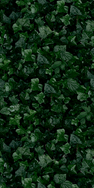 Плитка керамическая декоративная 4100155 PAPER41 JANE E 50х100x0,35 см