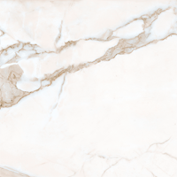 Гранит керамический K-1001/LR MARBLE TREND Calacatta Gold 60x60х1 см