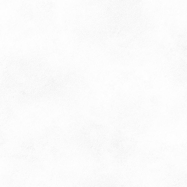 Гранит керамический PLANET WHITE SF/90X90/R 90х90x0,9 см