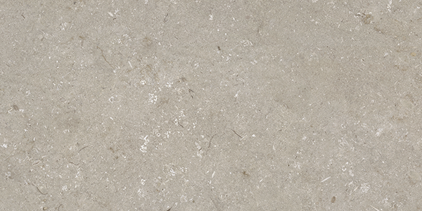 Гранит керамический n163209 SHELLSTONE Taupe RET 60х120х0,95 см