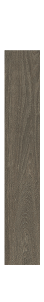 Гранит керамический LES BOIS BOCOTE RETT. 20x120 см
