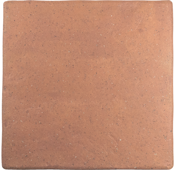 Гранит керамический 128198 ROOTS L COTTO 22x22 см