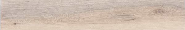 Гранит керамический 0004938 ECO CHIC ALMOND RET 20x120 см