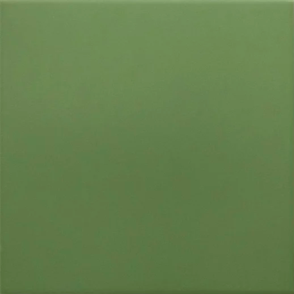 Гранит керамический 30716 RIVOLI Green 20x20 см