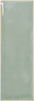 Гранит керамический 135376 CASABLANCA CB MINT 5x15 см 