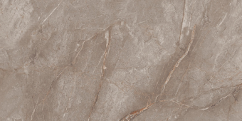 Гранит керамический N20483 Orobico Brown POLISHED 60x120х0,9 см