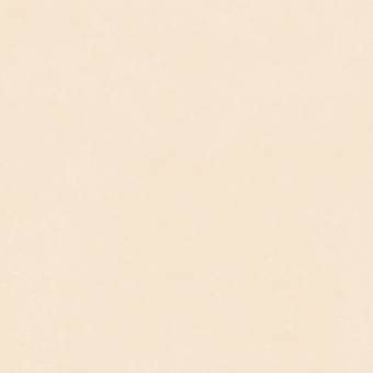 Гранит керамический 4101180 NOK Ivory 120x120 см