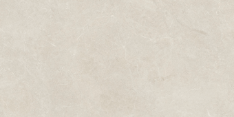 Гранит керамический LV10980 VONN Light Soft 60х120 см