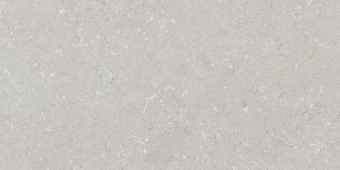 Гранит керамический n163188 SHELLSTONE Bianco MATT RET 60х120х0,95 см