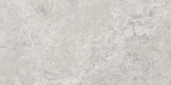 Гранит керамический MYTHOLOGY 141142 REGIA SILVER BRUSHED RETT 60x120x0,9 см