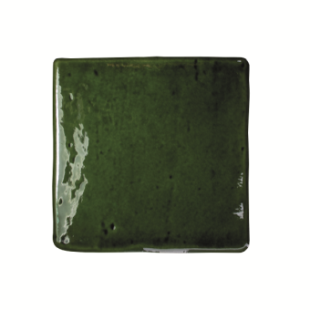 Гранит керамический 128210 ROOTS S OLIVE GLOSS 11x11 см