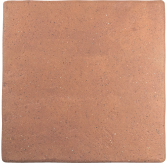 Гранит керамический 128198 ROOTS L COTTO 22x22 см