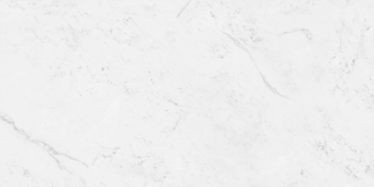 Гранит керамический N12033 CLASSIC MARBLE Carrara Antique POLISHED 60x120х0,9 см