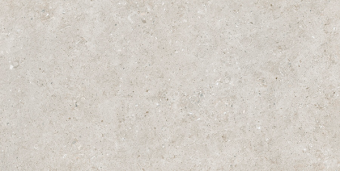 Гранит керамический LV10085 BERA&BEREN Light Grey Ductile Soft 60х120 см