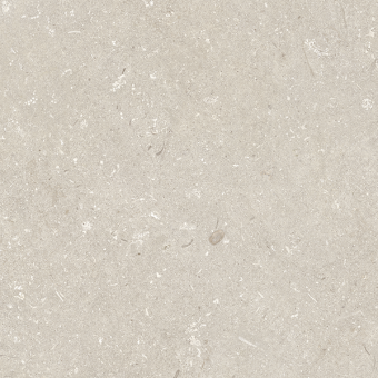 Гранит керамический n178252 SHELLSTONE Beige MATT RET 120х120х0,95 см