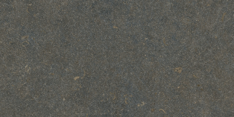 Гранит керамический LV12120 ODA Classic Honed 45x90 см