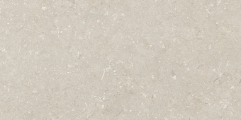 Гранит керамический n163205 SHELLSTONE Beige MATT RET 60х120х0,95 см