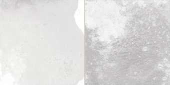 Плитка керамическая настенная FS TRADITION SQUARE Silver 20x40x1,03 см