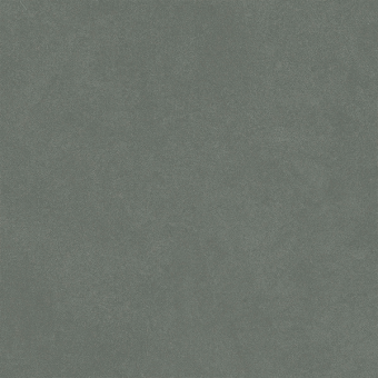 Гранит керамический N100102 MONOTONE Juniper Matt 20x20 см