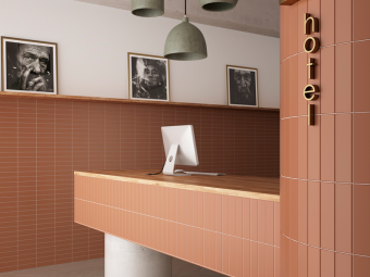 Плитка керамическая настенная 28465 COSTA NOVA Terra Matt 5x20 см