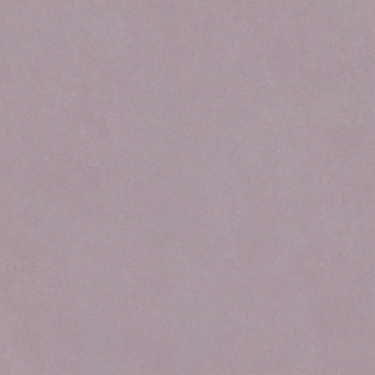 Гранит керамический N100118 MONOTONE Peach Matt 20x20 см