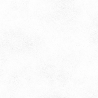 Гранит керамический PLANET WHITE SF/90X90/R 90х90x0,9 см
